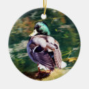 Search for mallard duck christmas tree decorations Bird