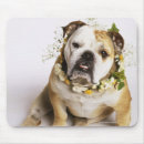 Search for animal collar mousepads Sitting