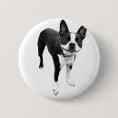 Search for boston terrier badges Cute