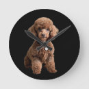 Search for poodle clocks Puppy