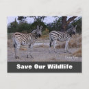 Search for double image postcards Black and white