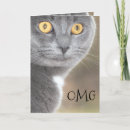 Search for new cat congratulations cards Kitty