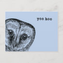 Search for hoo Bird