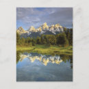 Search for wyoming postcards Forest