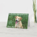 Search for shelters cards Rescue