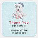 Search for huskies stickers Dog