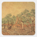 Search for olive tree stickers Olives