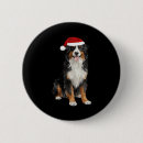 Search for bernese mountain dog badges Pug