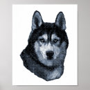 Search for husky posters Malamute