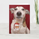 Search for jack russell christmas cards Cute
