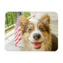 Search for corgis magnets Queen elizabeth's