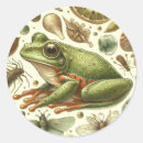 Search for marsh stickers Swamp