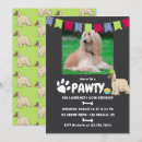 Search for afghan Afghan hounds