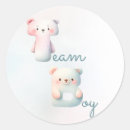 Search for he or she gender reveal stickers Colourful