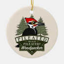 Search for woodpecker christmas tree decorations Pileated