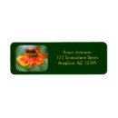 Search for orange daisy return address labels Floral