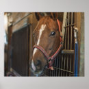 Search for stall posters Square