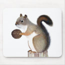 Search for the walnut mousepads Squirrel