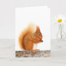 Search for squirrel christmas cards Nature