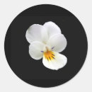 Search for tricolor stickers White