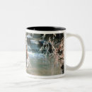 Search for underwater animals mugs Wildlife