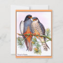 Search for peregrination postcards Illustration