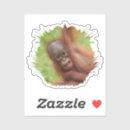 Search for babes stickers Infant