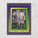Search for mardi gras postcards Tuesday