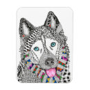 Search for malamute magnets Animal