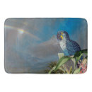 Search for rainbow macaw Animals