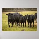 Search for bovin art Black