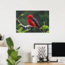 Search for vermilion posters Bird