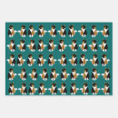 Search for calico cat wrapping paper Animals