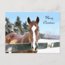 Search for equine christmas cards Xmas