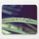 Search for drop mousepads Rain