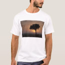Search for idyllic clothing Scene
