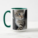 Search for mischievous mugs Kitten