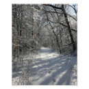 Search for winter path posters Trees