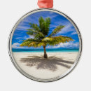 Search for maldives christmas tree decorations Vacation