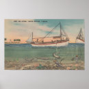Search for tarpon posters Springs
