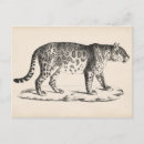 Search for vintage sketch postcards Wildlife