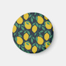 Search for lemon magnets Pattern