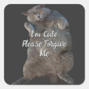 Search for british shorthair cat stickers Kitty