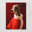 Search for italian greyhound cards Pets