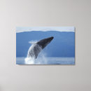 Search for motion canvas prints Usa
