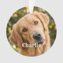 Search for holiday pet memorial christmas tree decorations For pets