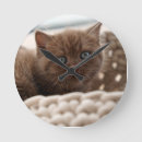 Search for british shorthair cat art Pet