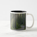 Search for sunlight mugs Scenic