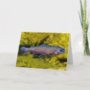 Search for funny fishing birthday cards Trout
