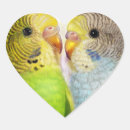 Search for exotic pet stickers Bird